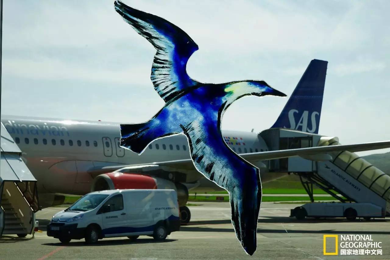 人间仙境世外桃源般的田园生活,法罗群岛遗世明珠