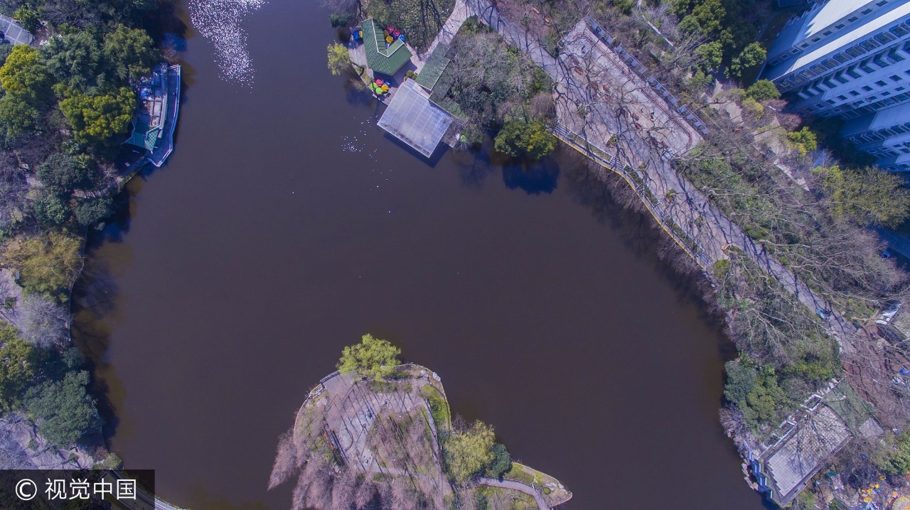 上海乘凉哪里好玩,上海周末乘凉地点排名前十