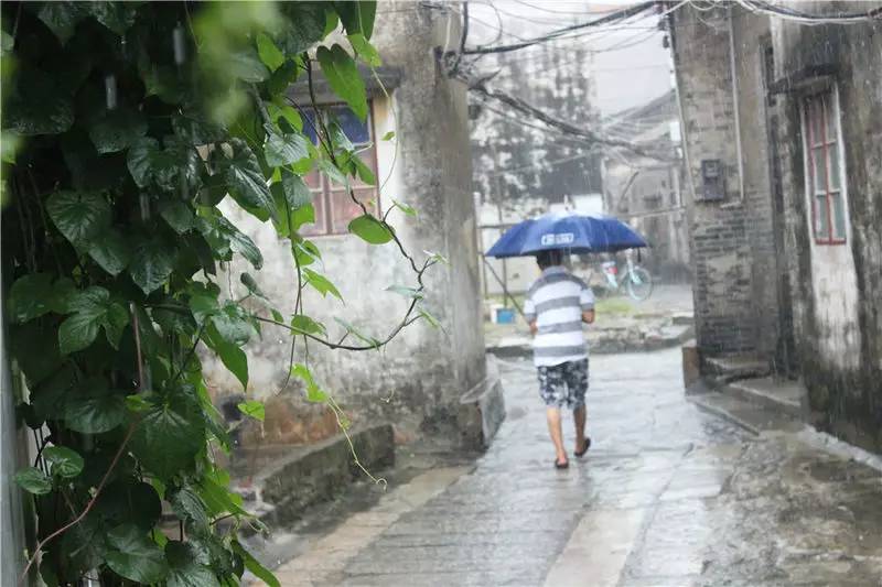 淇澳岛亲子游,一天时间玩转珠海淇澳岛