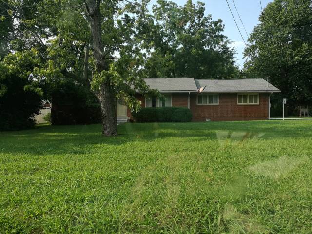 美国游学全攻略,美国游学实录100例