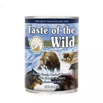 狗中美男子德牧,阿富汗猎犬最有气质的狗