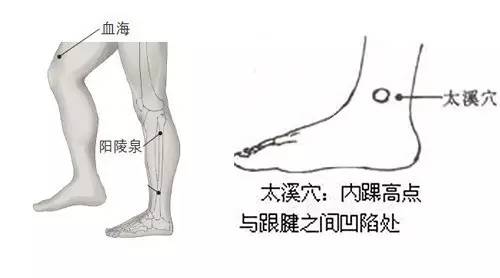 奶水是血造的吗,奶水是女人的骨髓吗