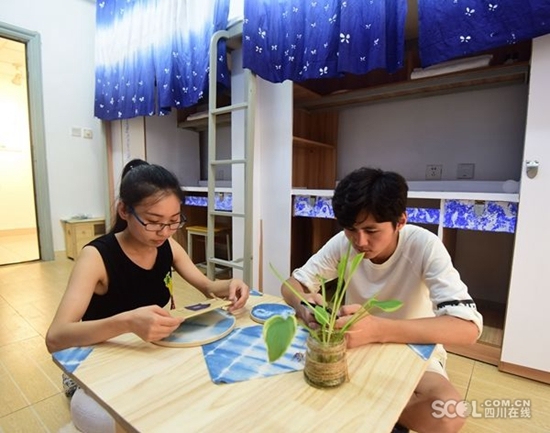 成都共享公寓有哪些,成都高校公寓