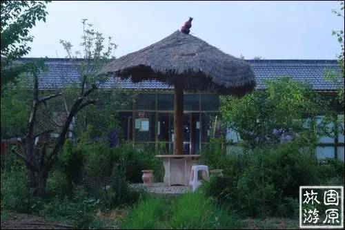 固原九龙山庄,田园乐趣游玩