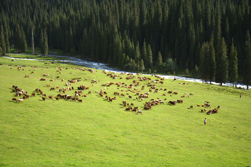 行者无疆-6月乌孙，漂洋过海为圣湖，翻山越岭因初心
