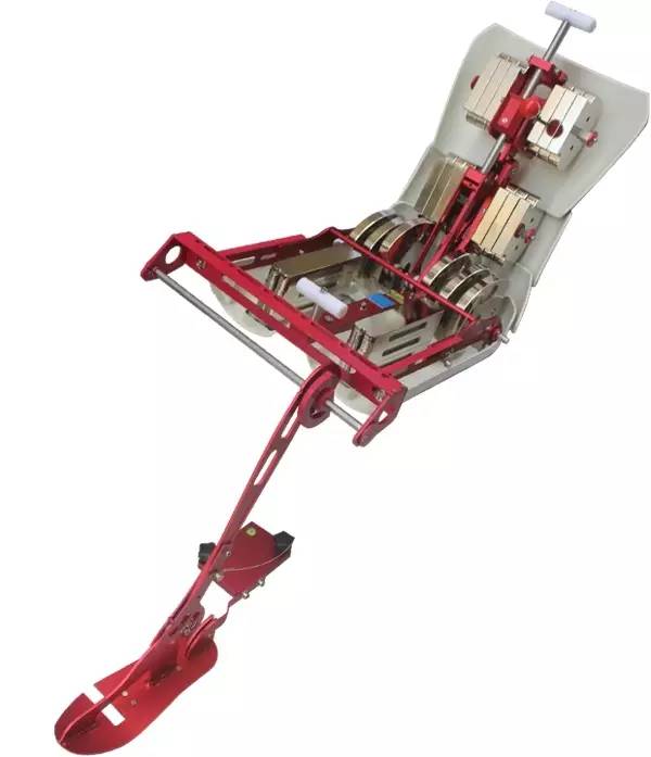 每日一课一个词,每日一课应该说些什么