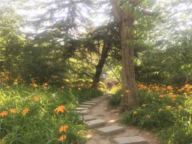 关于园区灭虫通知,昌平灭虫