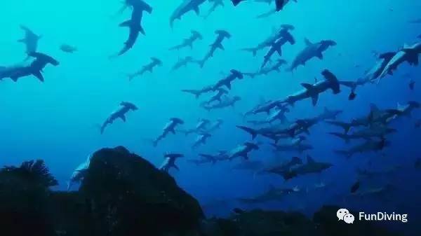 从入门级到朝圣级，船宿该怎么选？