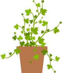 「姣姐课堂第二季」来，同学，这包去污粉拿好了