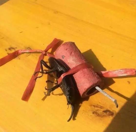 「笑多会怀孕」——老婆查岗，告诉她在医院，没毛病吧？