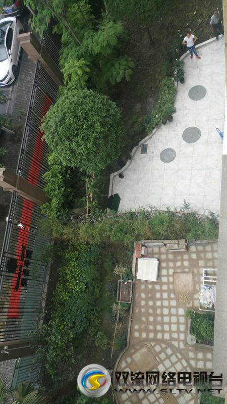 违建冻结房产有通知吗,拆违治乱持续发力