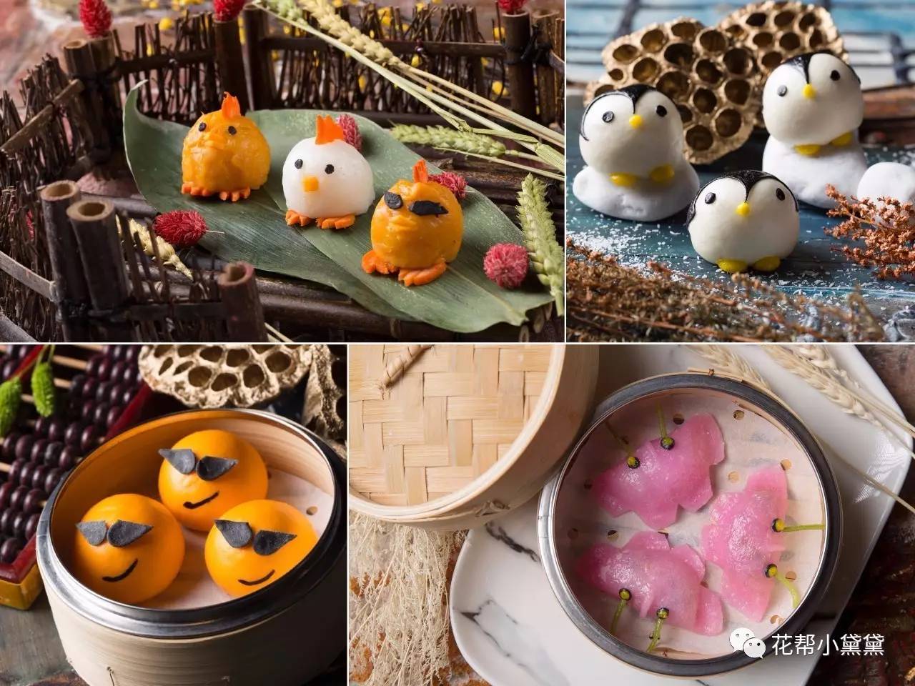 为什么要选择头等舱,一分钟告诉你为什么选择头等舱