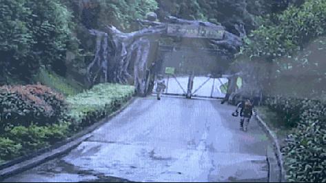 精彩召陵,召陵新闻网