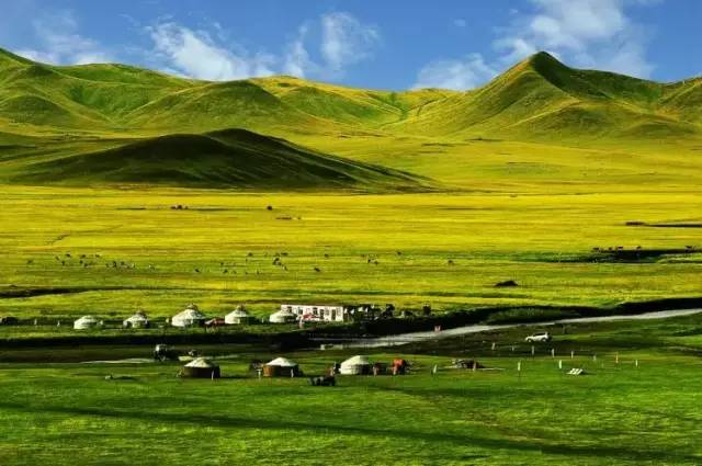 对不起，我去草原了，别再找我了……