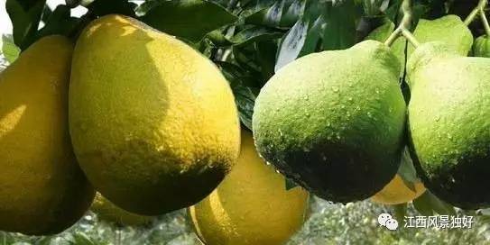 走遍江西100县南康区,走遍江西100县崇义县