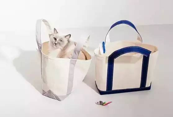 女明星平价包包推荐,女明星爱的包包