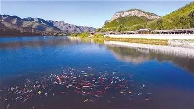 广西全域旅游区,广西全域旅游示范县区