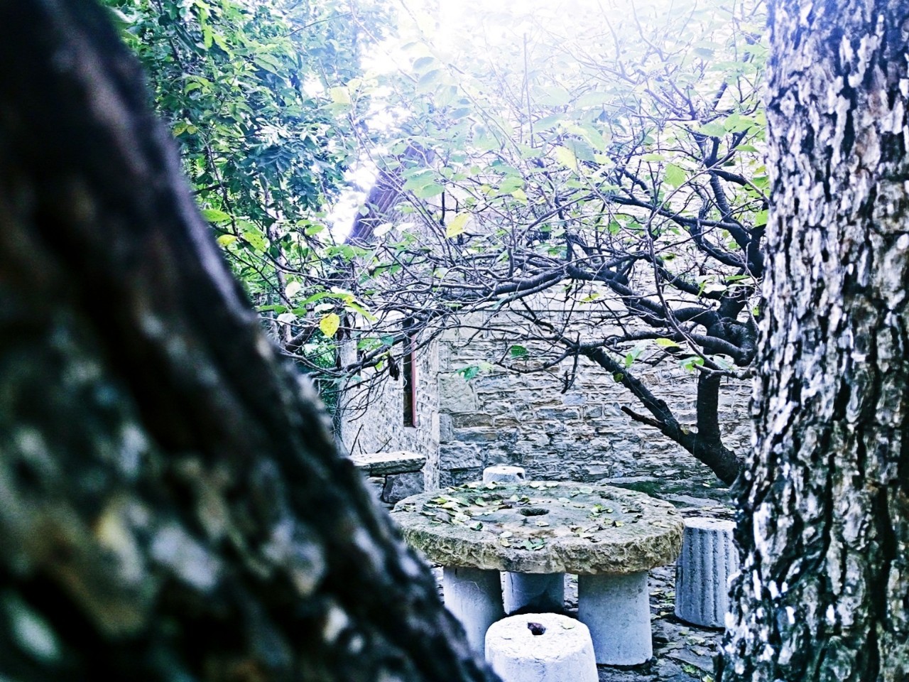 它被称作天上王城，更有中华第一崮美名，薄雾氤氲景色迷人