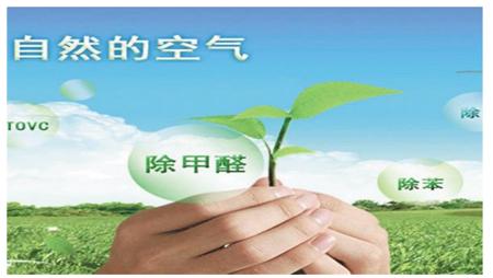 山东夏季除甲醛检测,河南夏季除甲醛多少钱