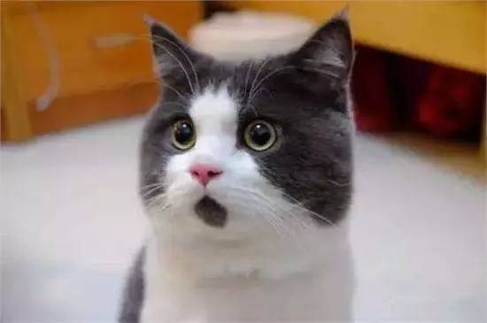 张若昀唐艺昕恋情怎么开始的,张若昀唐艺昕恋爱全过程