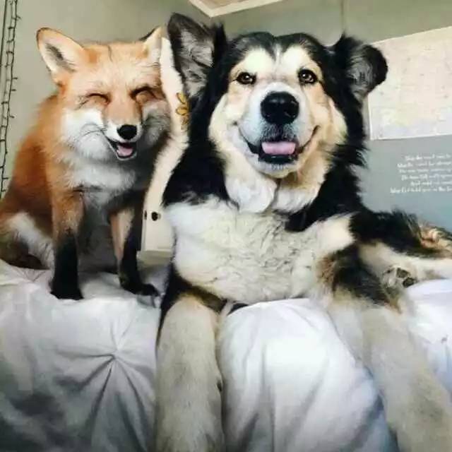 错过再等一年！这些地方明天通通免费！