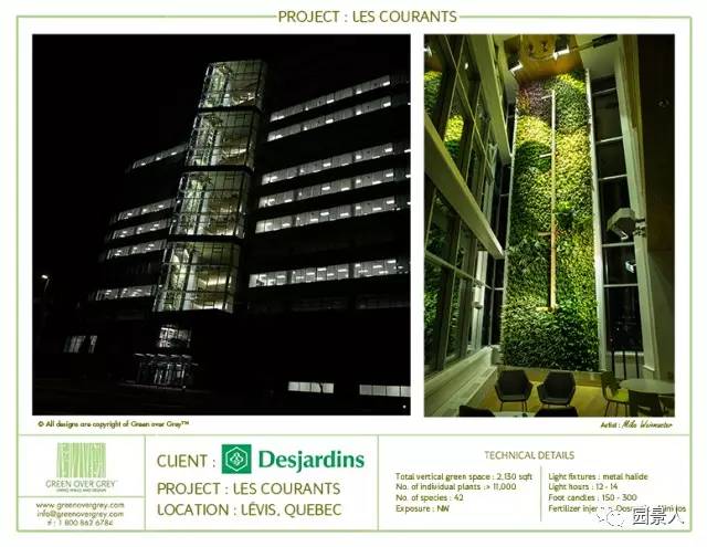 一说到垂直绿化，脑袋里就蹦出他，他，他（附失败案例经验总结）