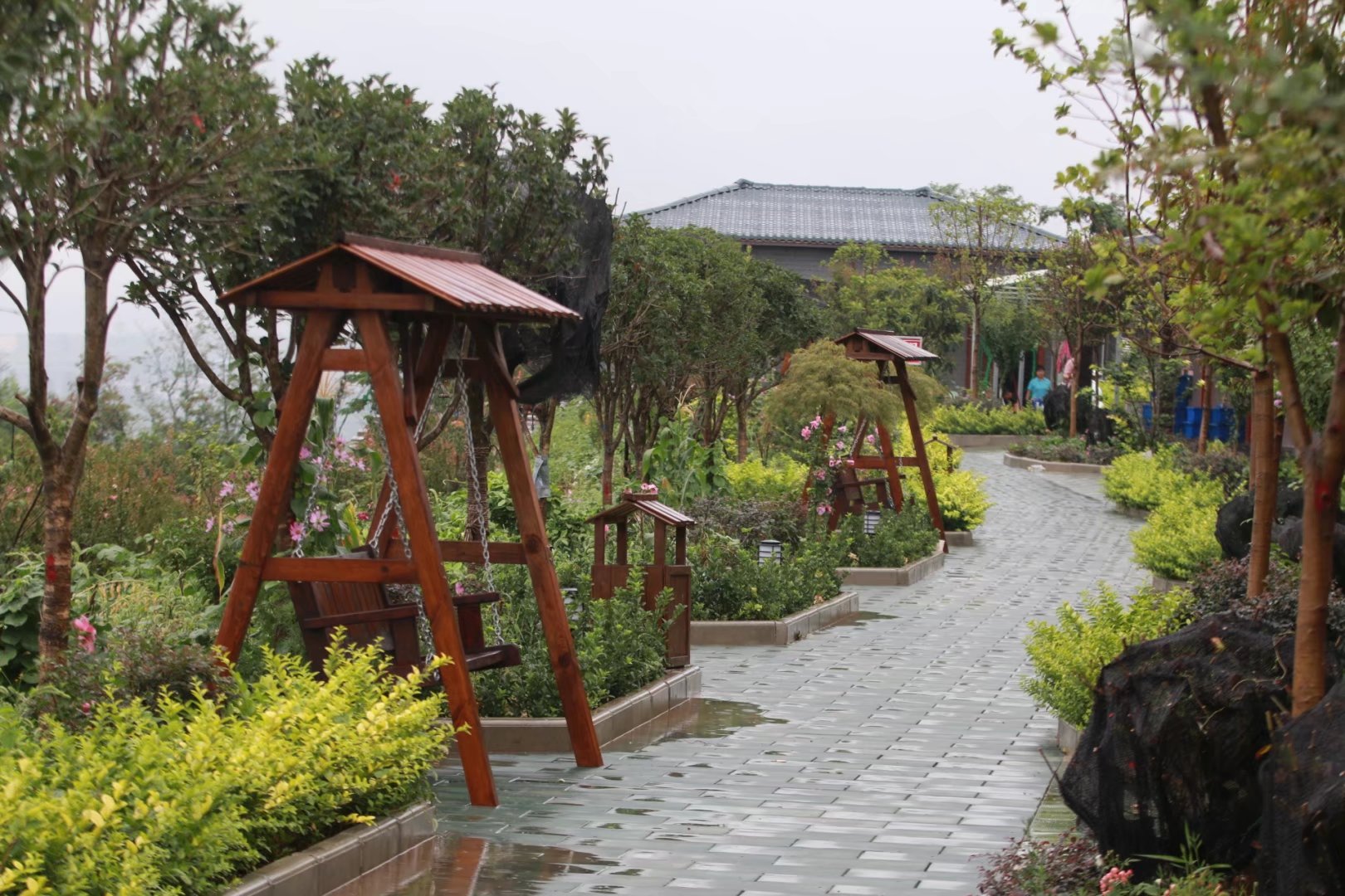 汉中最近最火农家乐,汉中最有特色的农家乐