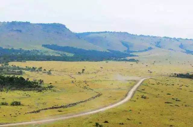 战狼边境线搏斗,战狼丛林越野骑行