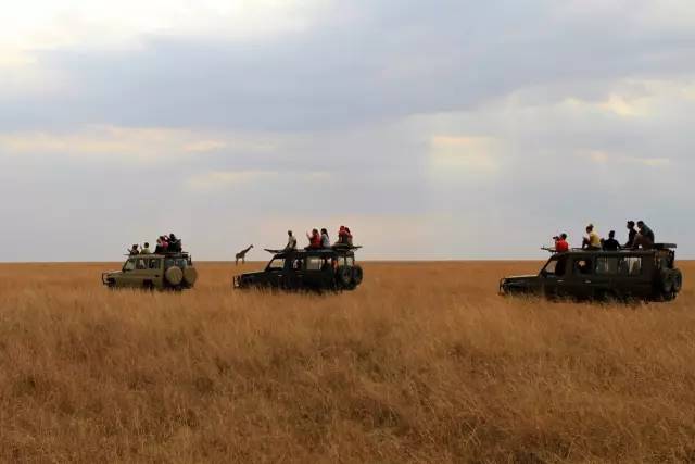 战狼边境线搏斗,战狼丛林越野骑行