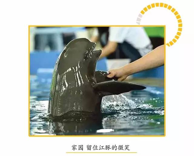 动物们开始工作,动物们开始冒险