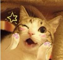 青岛十家必吃的餐厅,青岛最黑饭店