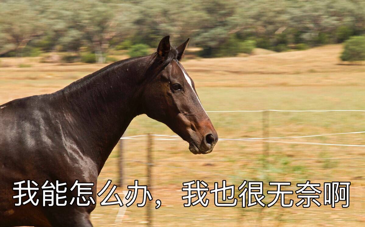 古人日常说话都是之乎者也吗,古人说话真是之乎者也吗