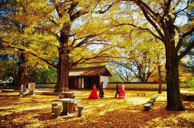 火车去青海沿途风景,青海人出国很难吗