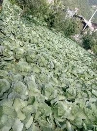 户外小白成长记,户外小白进阶课