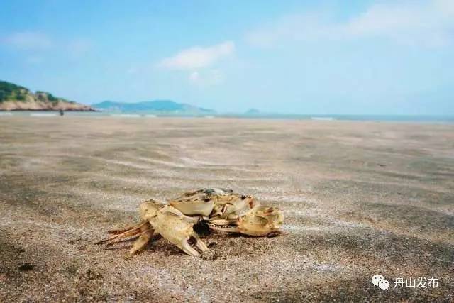 舟山附近的国家级5a景区,舟山市有几个5a景区排名第一