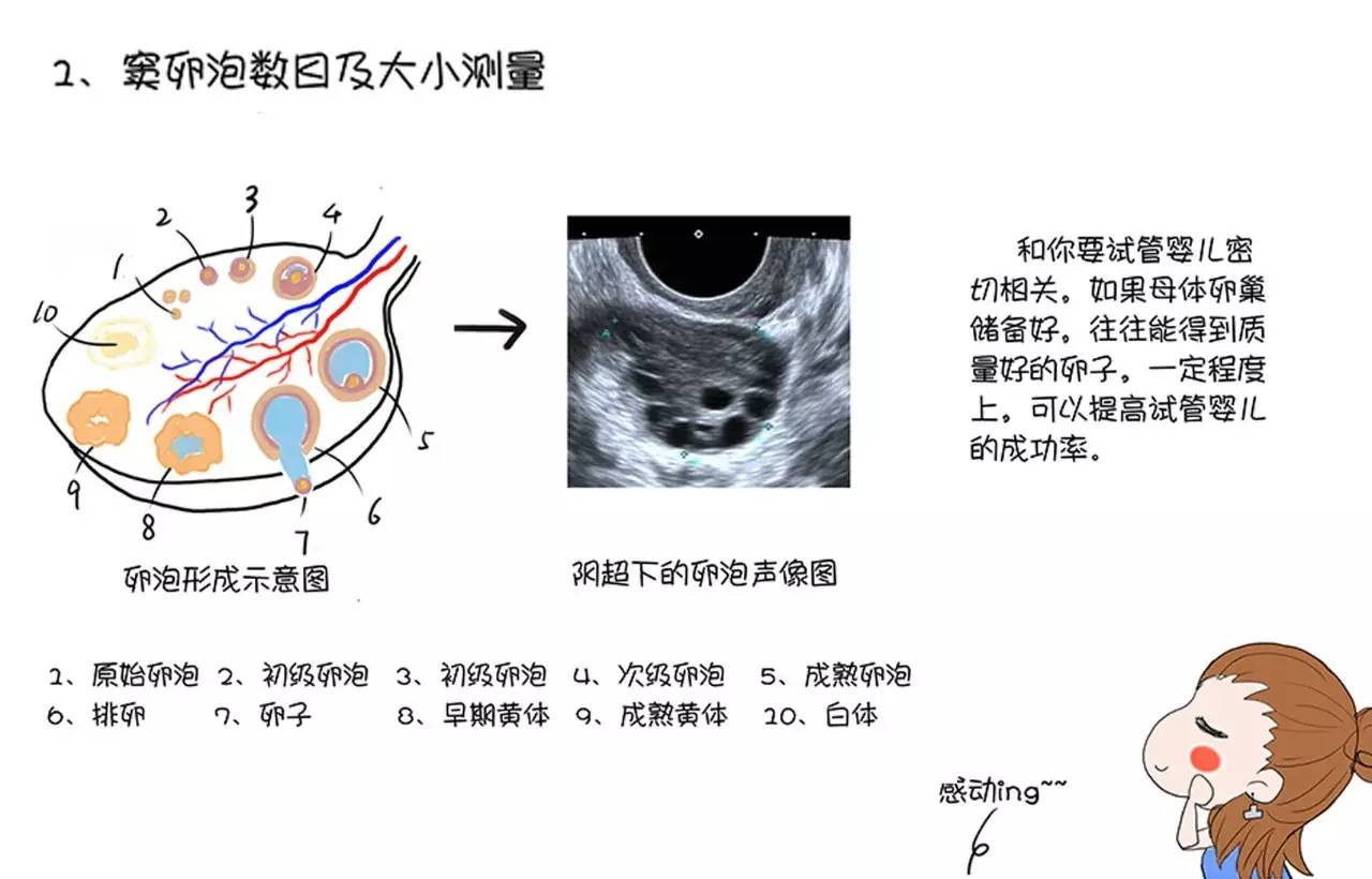 经期也可以做阴超吗,经期能做阴超吗