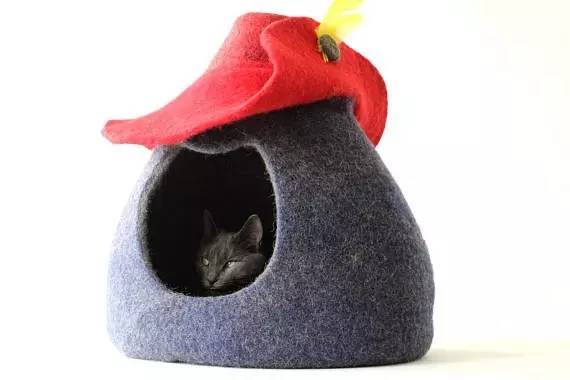 盘点那些实用的宠物生活用品,猫狗最实用的宠物用品