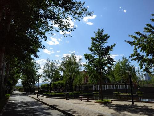 锤子坚果pro总死机,锤子坚果pro质量问题