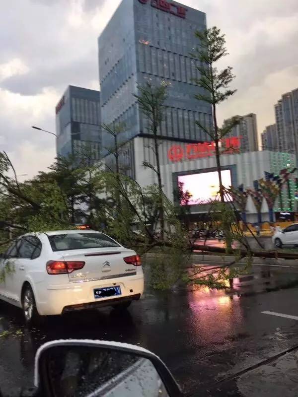 福州突然下起冰雹！气温秒降11℃！雨后的福州简直美如画！「新闻客」