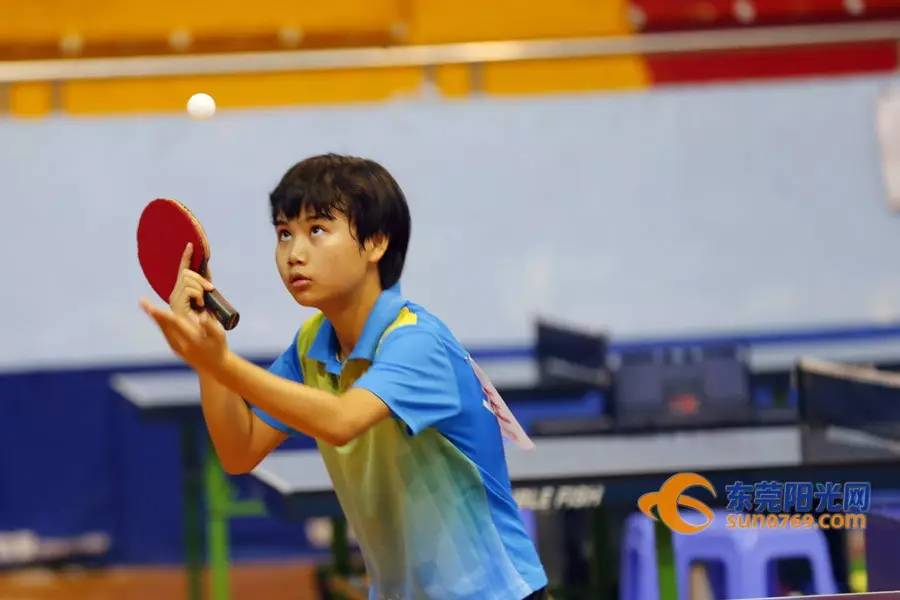 东莞市第十届市运会,东莞市2023年市运会