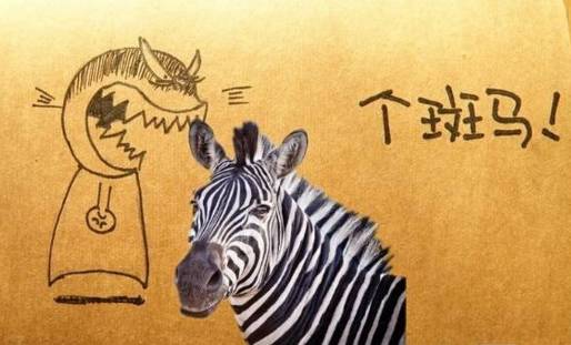 武汉确实是一座有魅力的城市,武汉这座巨大的城市