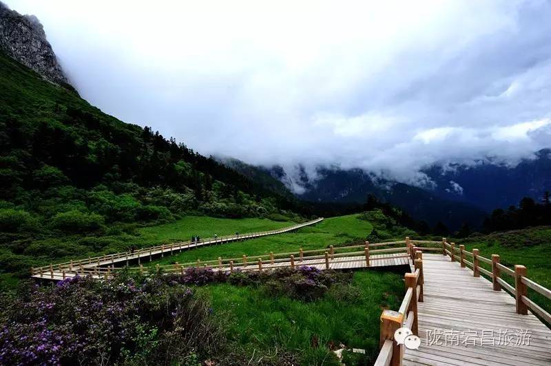 别说端午节不知道去哪儿，来宕昌遇见最美的风景