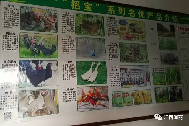 商会红木家具会员企业走访,商会秘书处走访