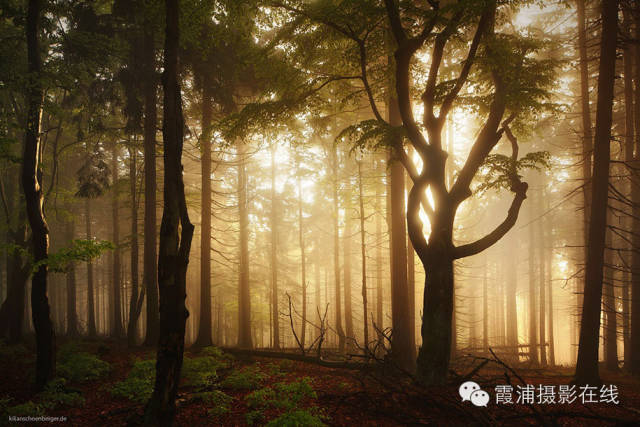 格林童话微缩景观,格林童话拍照