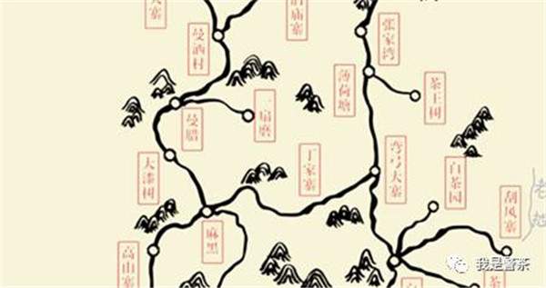 乔木古树茶与台地茶的区别,普洱古树茶台地茶鉴别方法