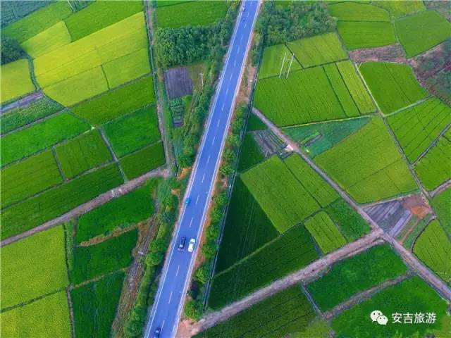 中国大竹海游玩攻略,浙北安吉大竹海攻略