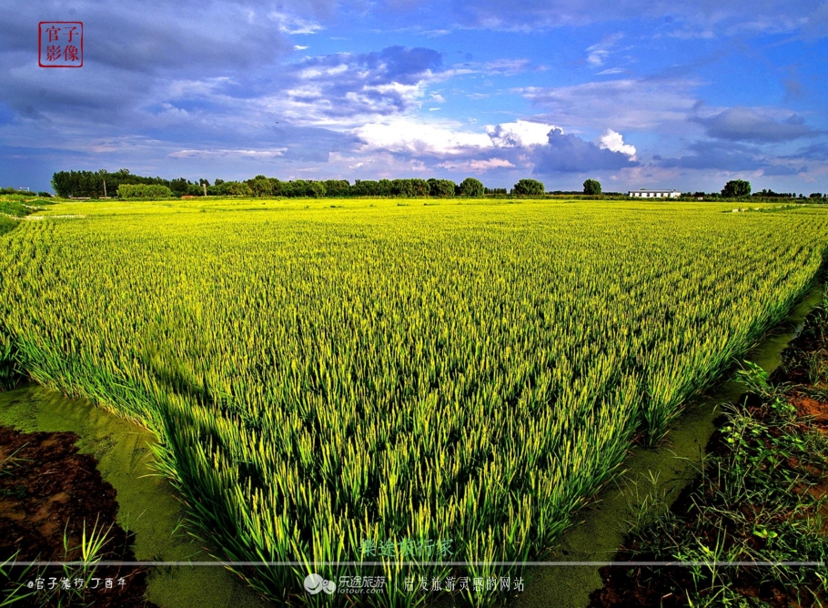 亚洲最大的天然红地毯,世上最出名的红地毯