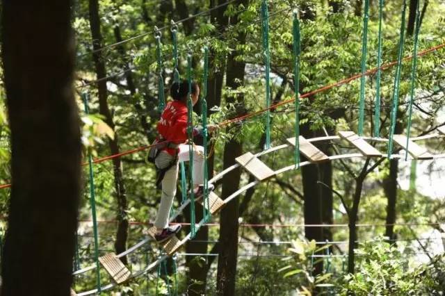 厉害了!衢州惊现1680米亚洲最长的双人高空溜索!七夕福利震撼来袭!