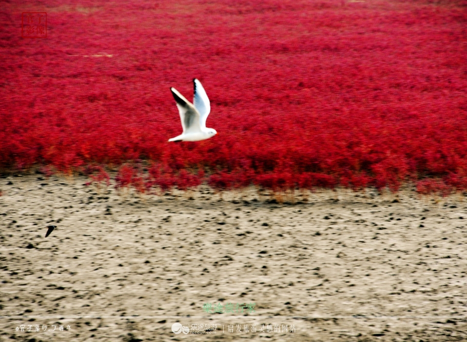 亚洲最大的天然红地毯,世上最出名的红地毯