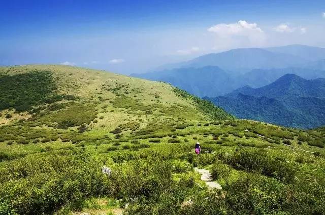 创建全域旅游示范,创建国家全域旅游示范区视频